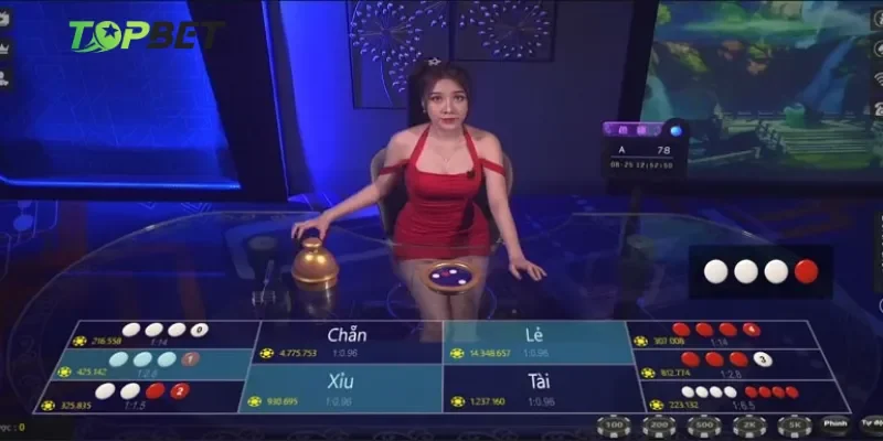 Bí quyết chơi thực chiến tại live casino Topbet